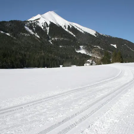 Alm Chalet Chalet Hohentauern