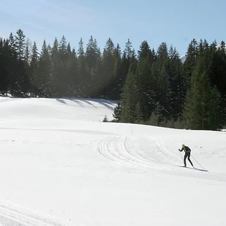 Alm Chalet * Hohentauern